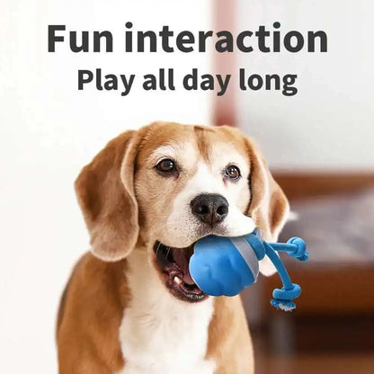 FunnyBall™  Interactive Pet Toy