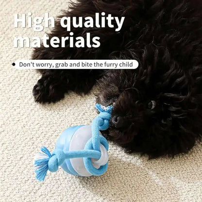 FunnyBall™  Interactive Pet Toy