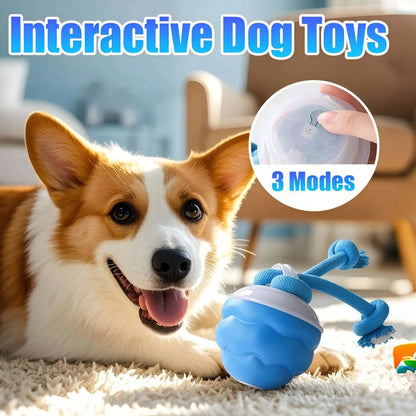 FunnyBall™  Interactive Pet Toy