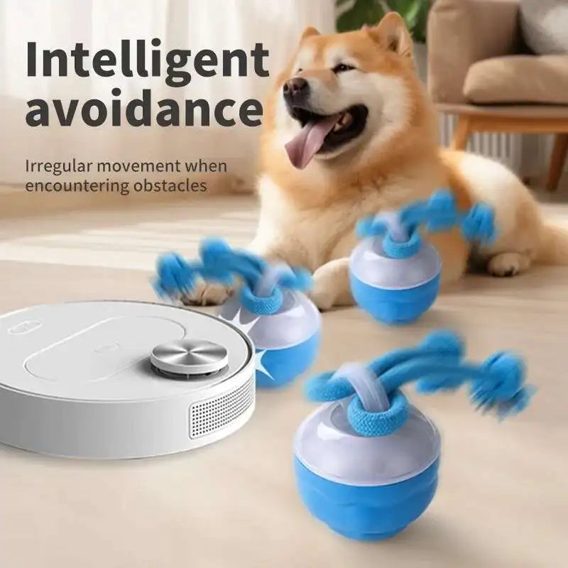FunnyBall™  Interactive Pet Toy